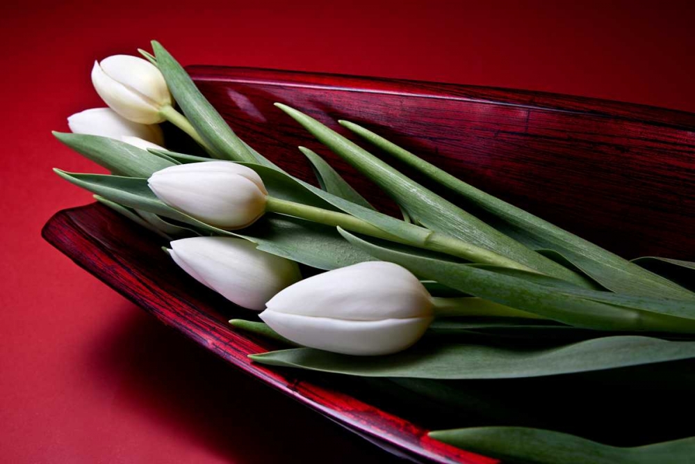 Tulips II art print by C. Thomas McNemar for $57.95 CAD