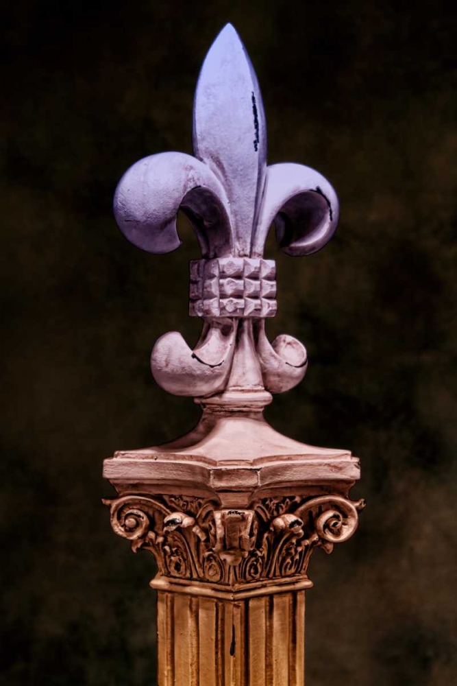 Fleur de Lis I art print by C. Thomas McNemar for $57.95 CAD