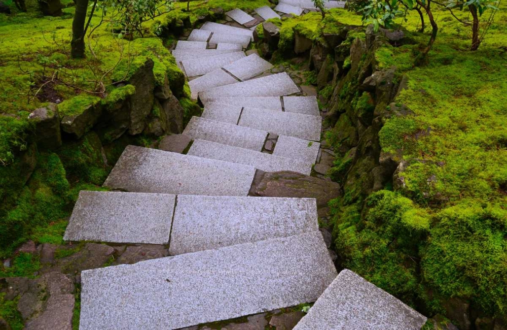 Steps I art print by Brian Moore for $57.95 CAD