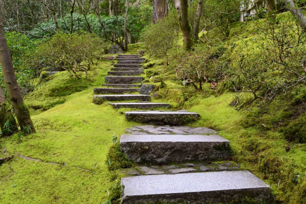 Steps II art print by Brian Moore for $57.95 CAD