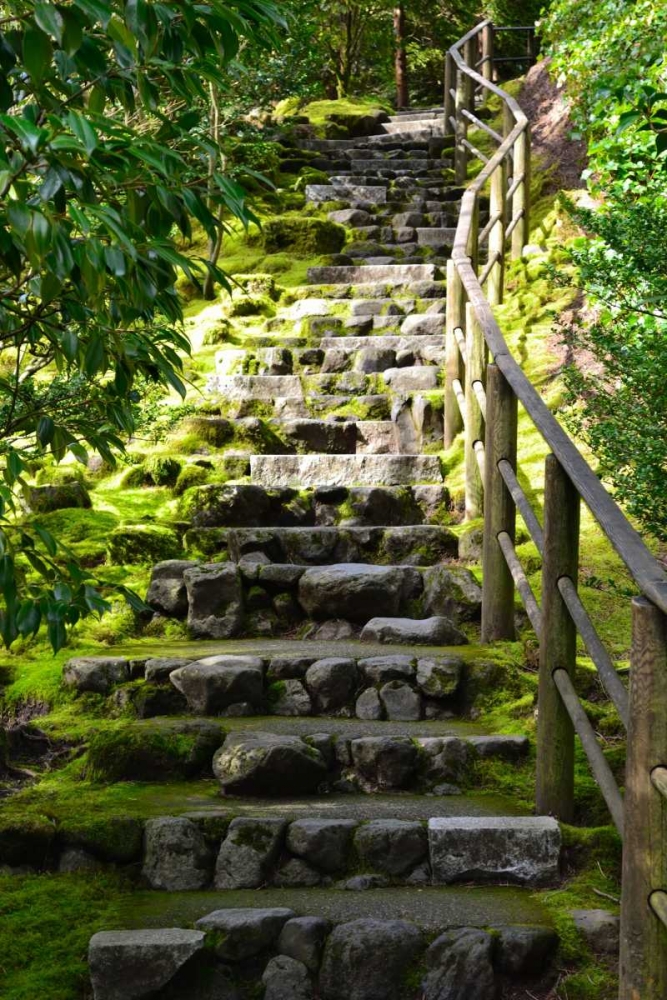 Steps III art print by Brian Moore for $57.95 CAD
