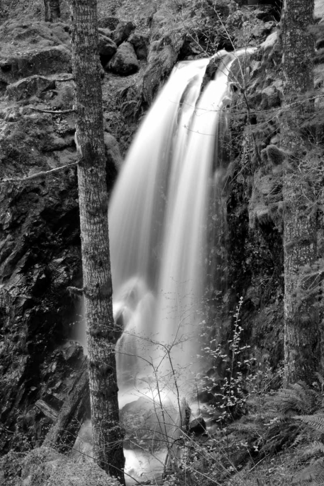 Waterfall I art print by Brian Moore for $57.95 CAD