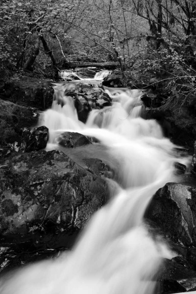 Waterfall II art print by Brian Moore for $57.95 CAD
