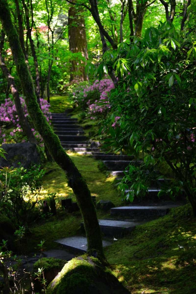 Garden Stairs II art print by Brian Moore for $57.95 CAD