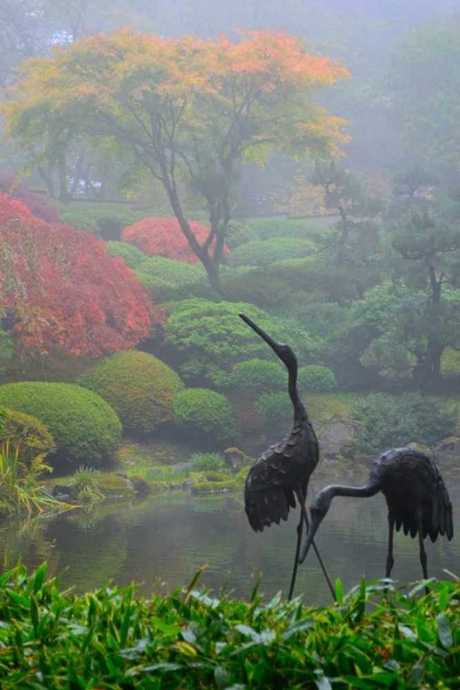 Gardens in the Fog I art print by Brian Moore for $57.95 CAD