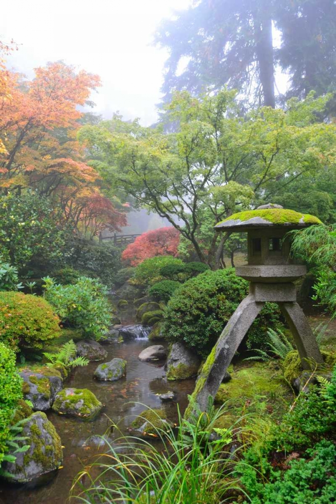 Gardens in the Fog II art print by Brian Moore for $57.95 CAD
