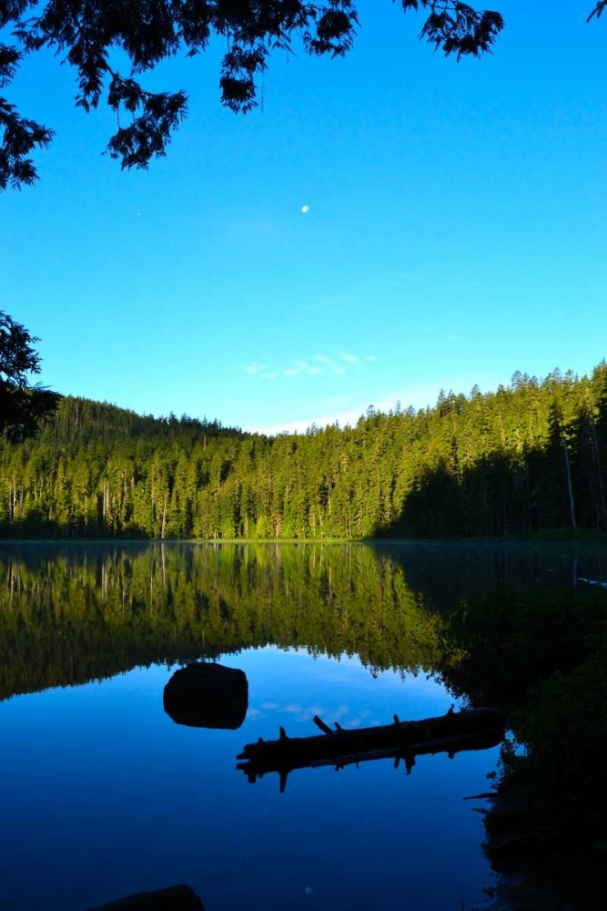 Morning at the Lake I art print by Brian Moore for $57.95 CAD