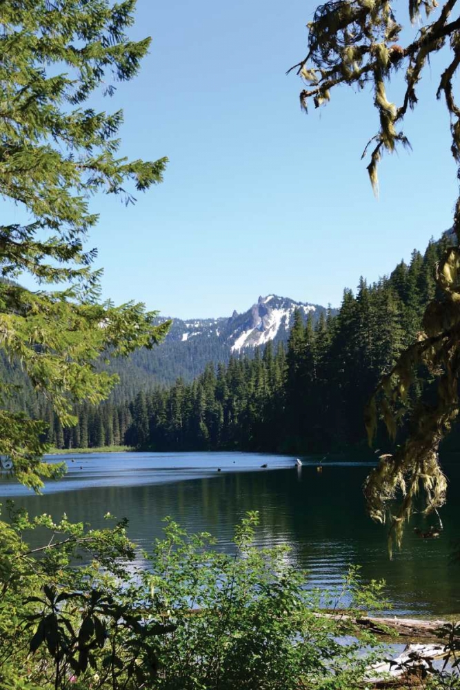 Morning at the Lake II art print by Brian Moore for $57.95 CAD
