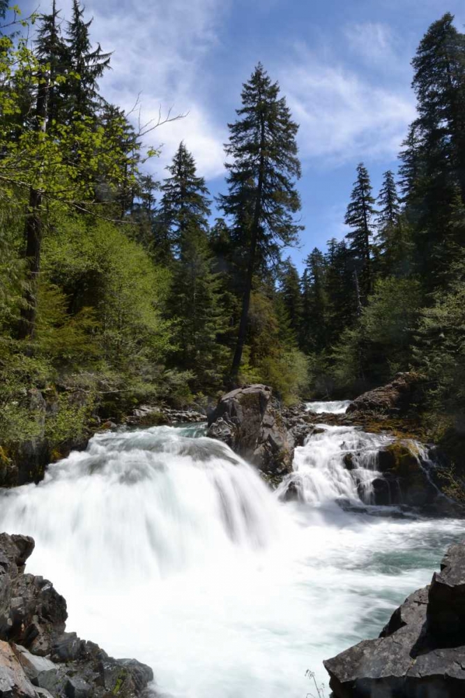 Rapids I art print by Brian Moore for $57.95 CAD