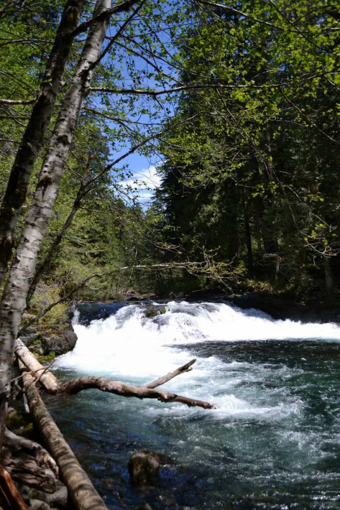 Rapids II art print by Brian Moore for $57.95 CAD