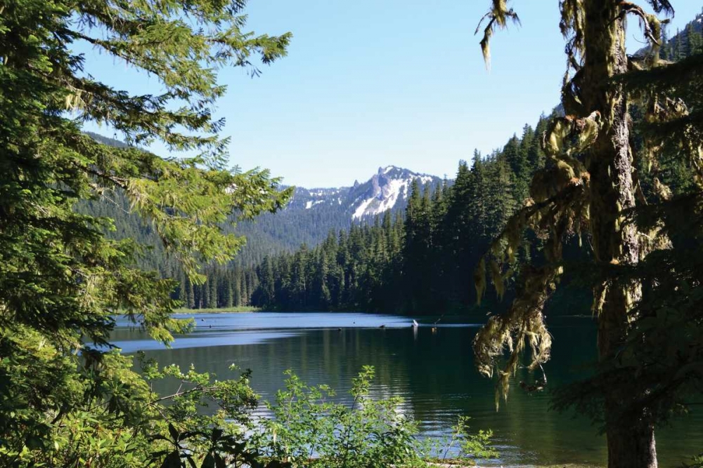 Morning at the Lake III art print by Brian Moore for $57.95 CAD