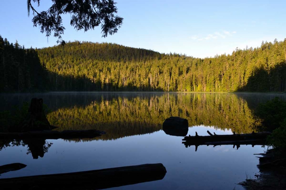 Morning at the Lake IV art print by Brian Moore for $57.95 CAD