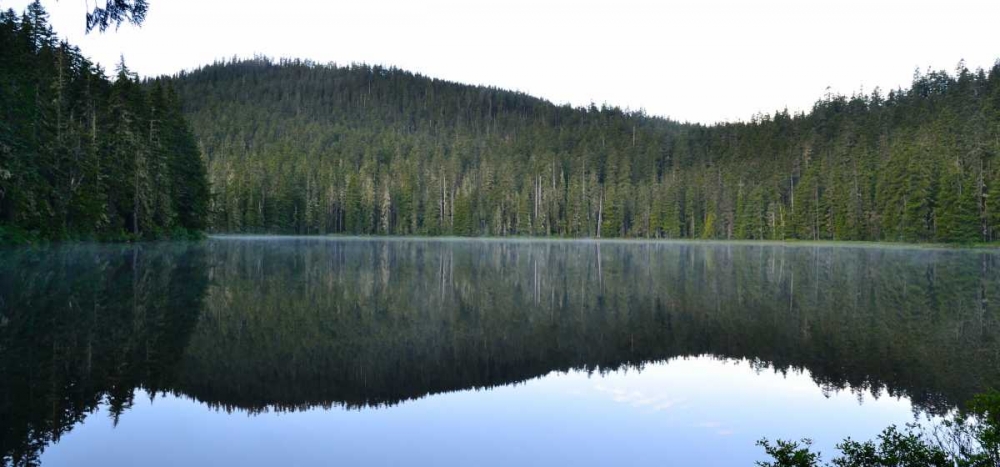 Morning at the Lake V art print by Brian Moore for $57.95 CAD