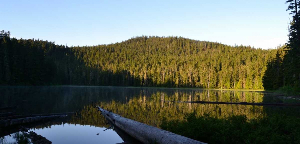 Morning at the Lake VI art print by Brian Moore for $57.95 CAD
