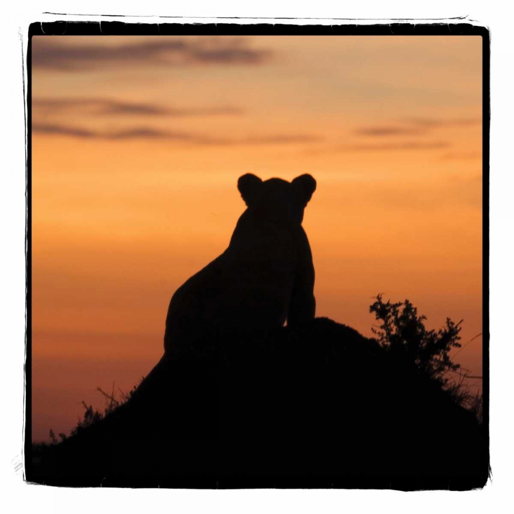 Radiant Africa III art print by Susann Parker for $57.95 CAD