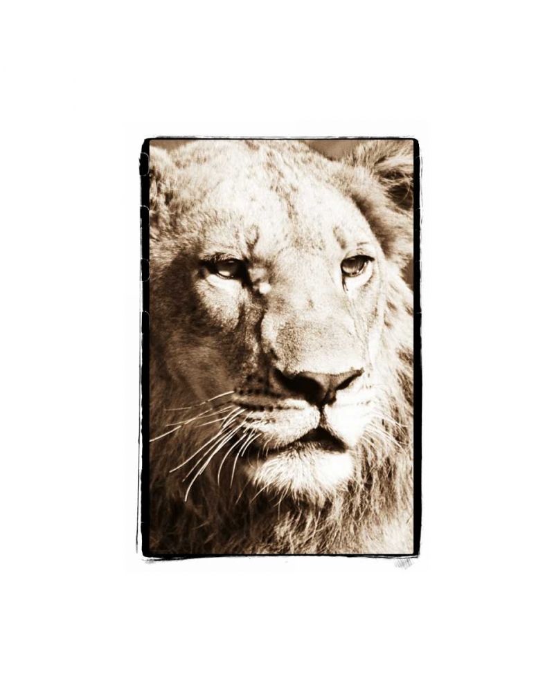 True I art print by Susann Parker for $57.95 CAD