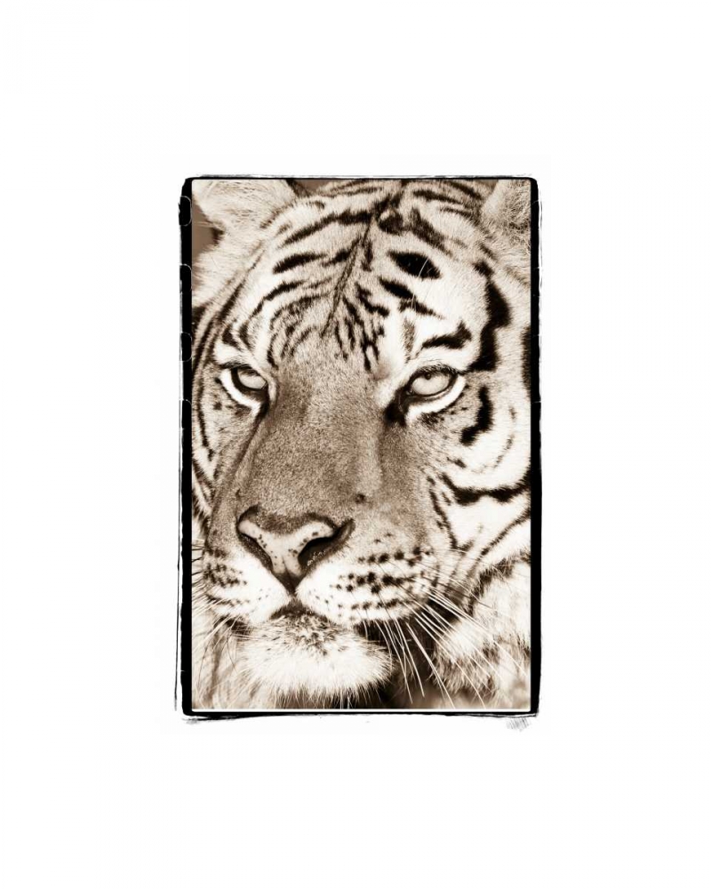 True II art print by Susann Parker for $57.95 CAD