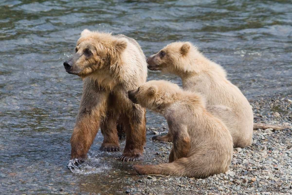 Training Day art print by Susann Parker for $57.95 CAD