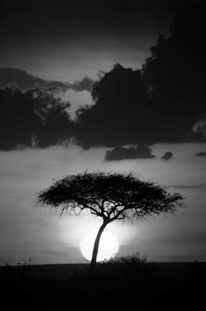 Kenta Sunrise art print by Susann Parker for $57.95 CAD