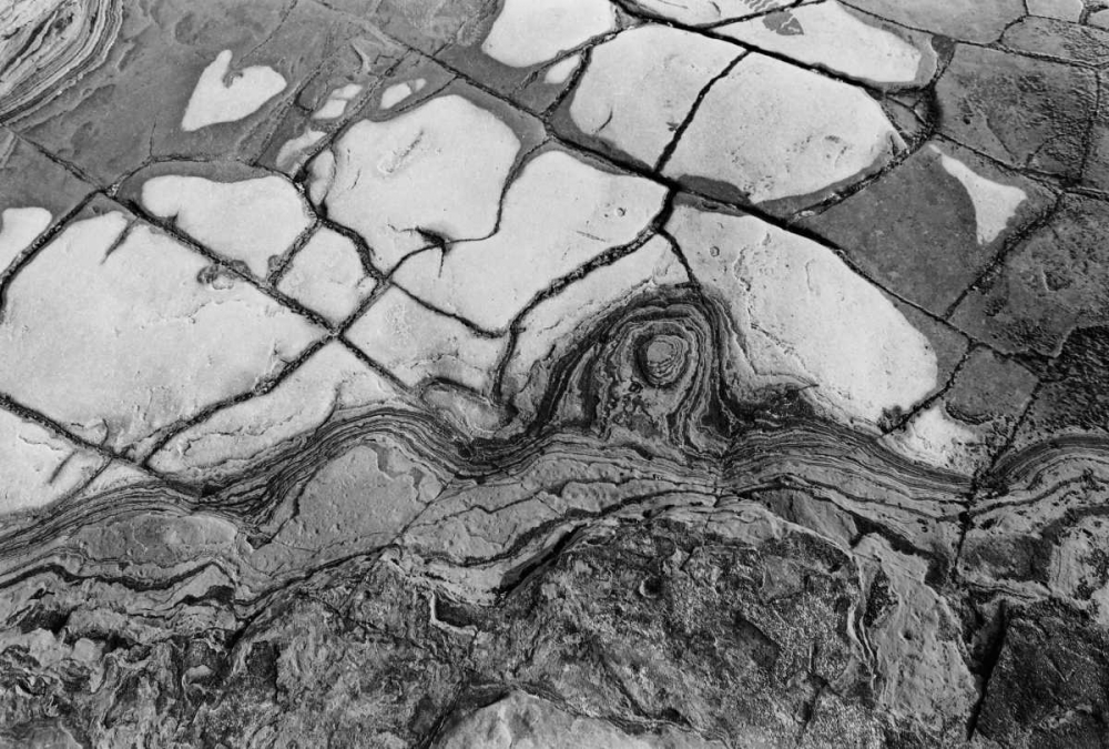Texture I art print by Lee Peterson for $57.95 CAD