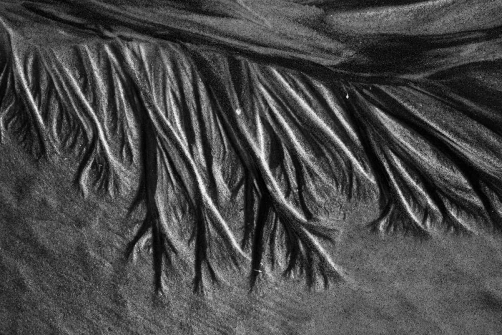 Texture Sand II art print by Lee Peterson for $57.95 CAD