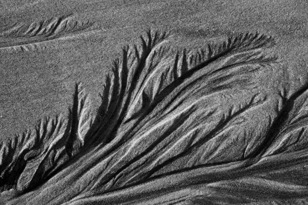 Texture Sand III art print by Lee Peterson for $57.95 CAD