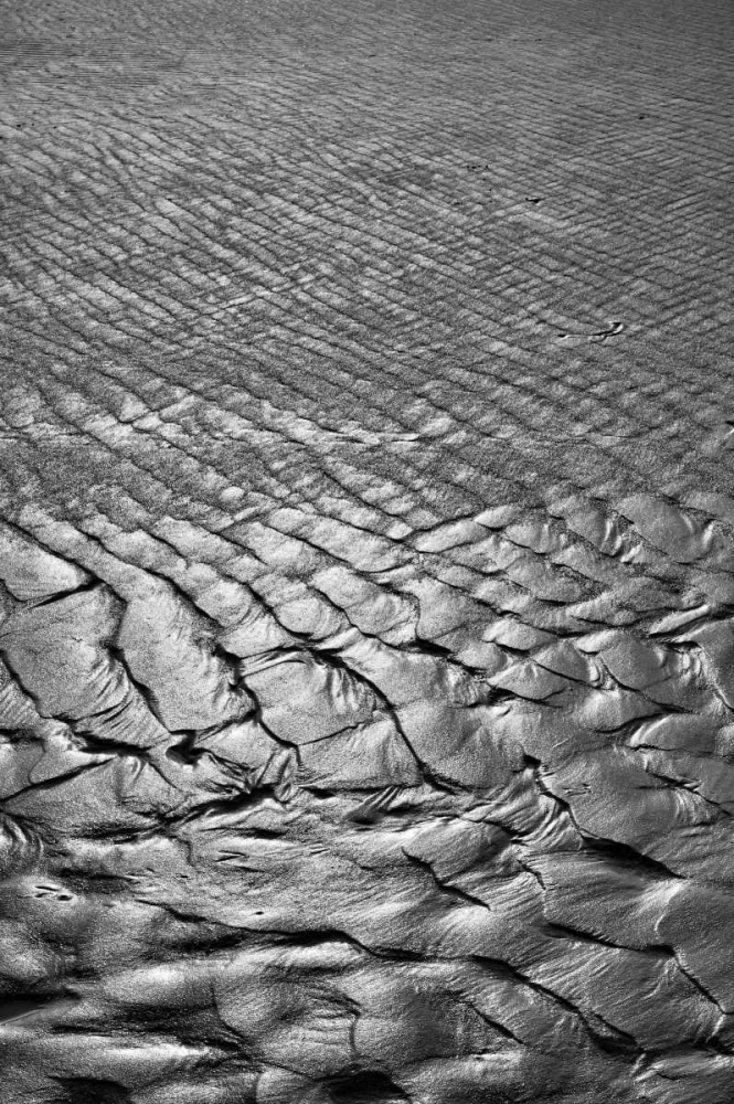 Texture Sand IV art print by Lee Peterson for $57.95 CAD