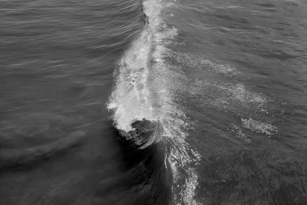 Wave I art print by Lee Peterson for $57.95 CAD