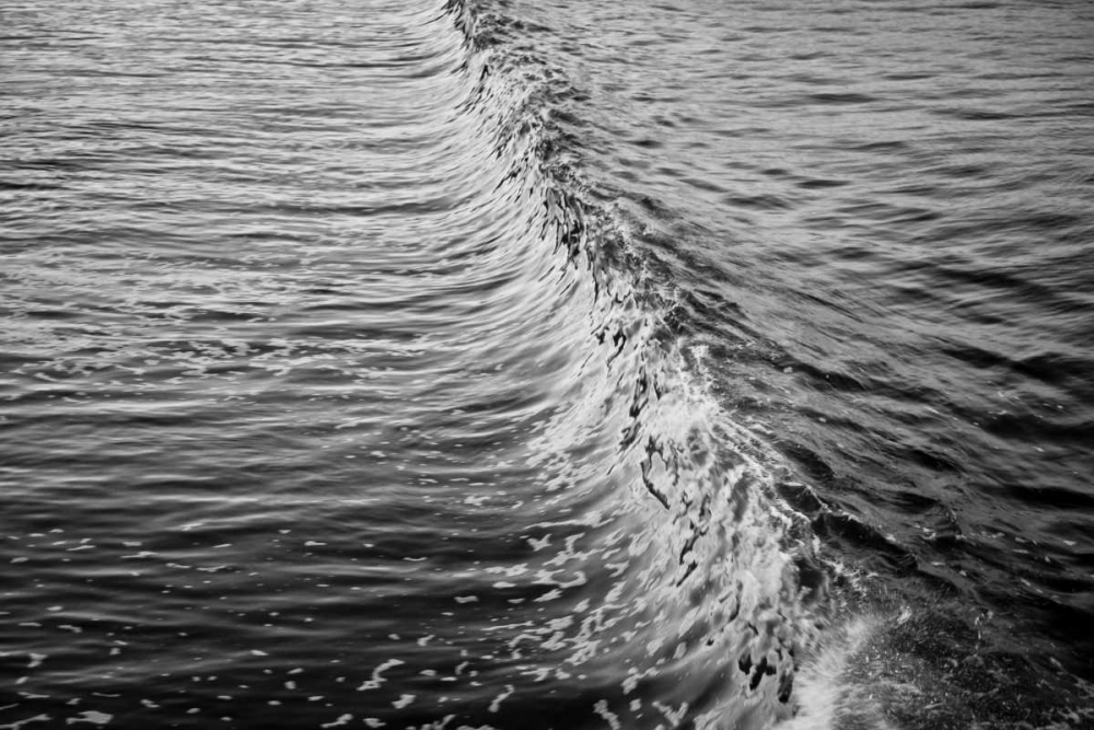 Wave II art print by Lee Peterson for $57.95 CAD