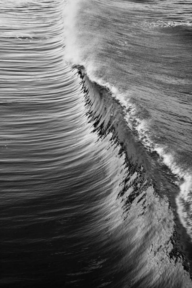 Wave IV art print by Lee Peterson for $57.95 CAD