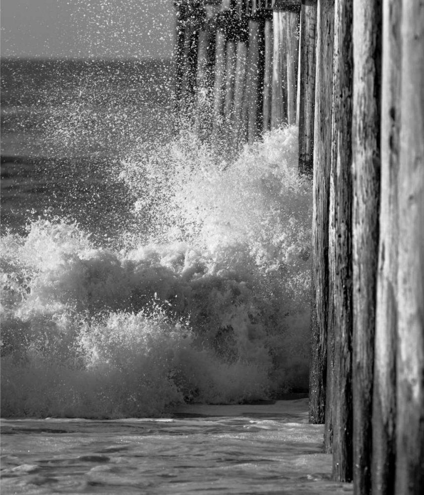 Wave VII art print by Lee Peterson for $57.95 CAD