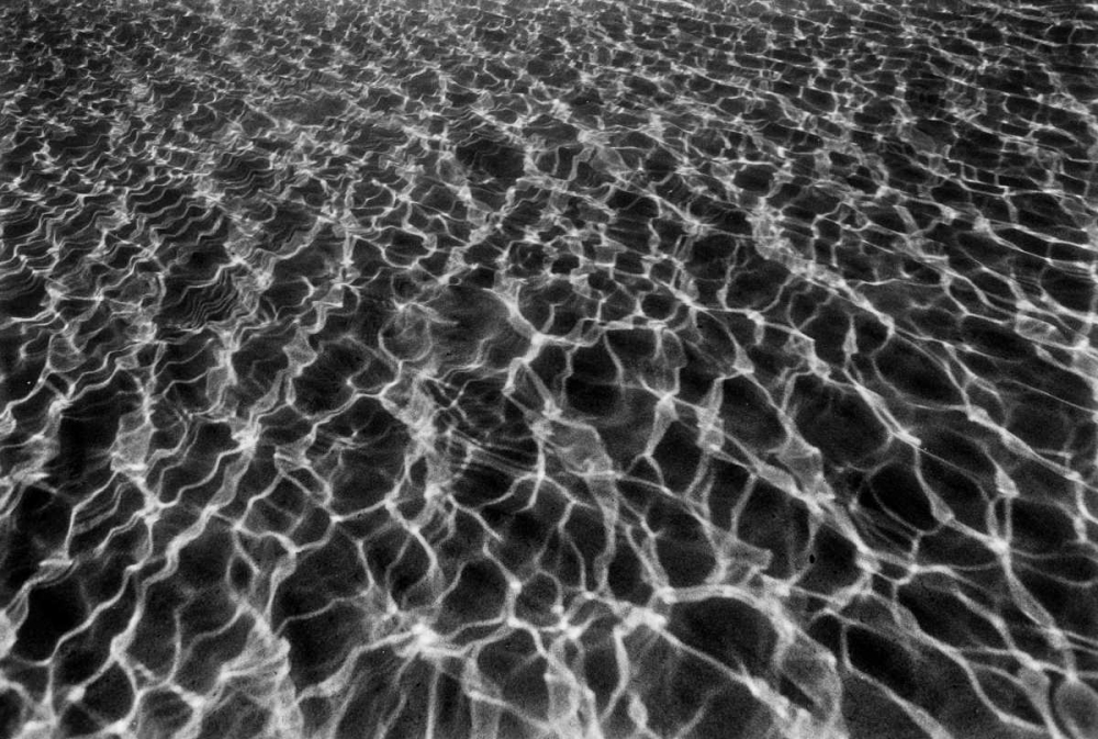 Underwater I art print by Lee Peterson for $57.95 CAD