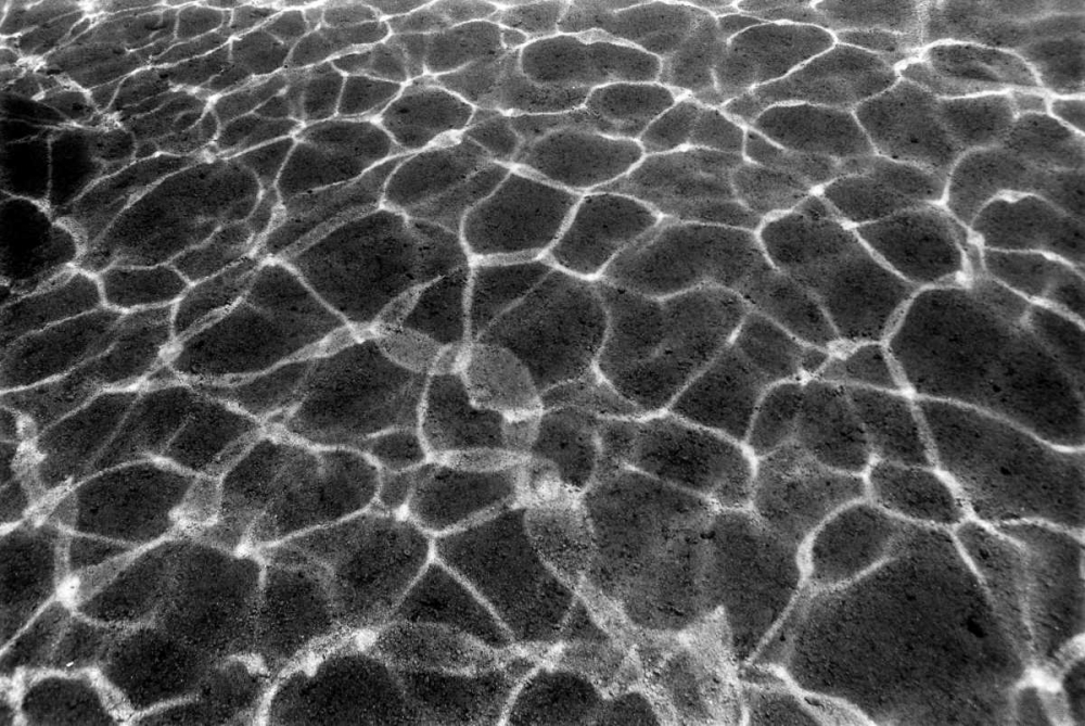 Underwater II art print by Lee Peterson for $57.95 CAD