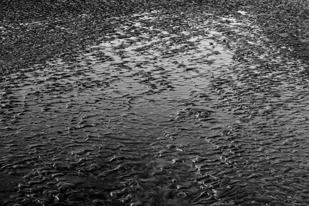 Beach Reflection I art print by Lee Peterson for $57.95 CAD