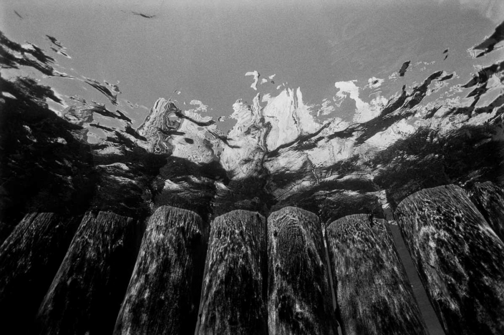 Pier Pilings I art print by Lee Peterson for $57.95 CAD