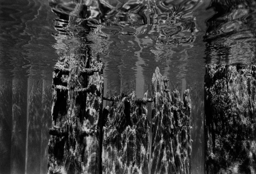 Pier Pilings II art print by Lee Peterson for $57.95 CAD