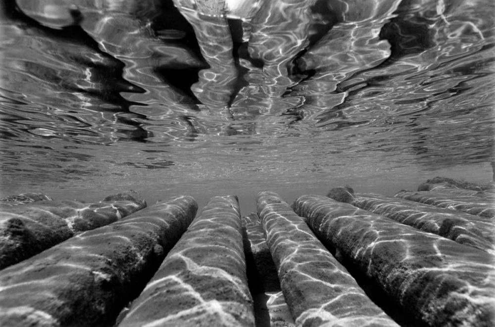 Pier Pilings III art print by Lee Peterson for $57.95 CAD