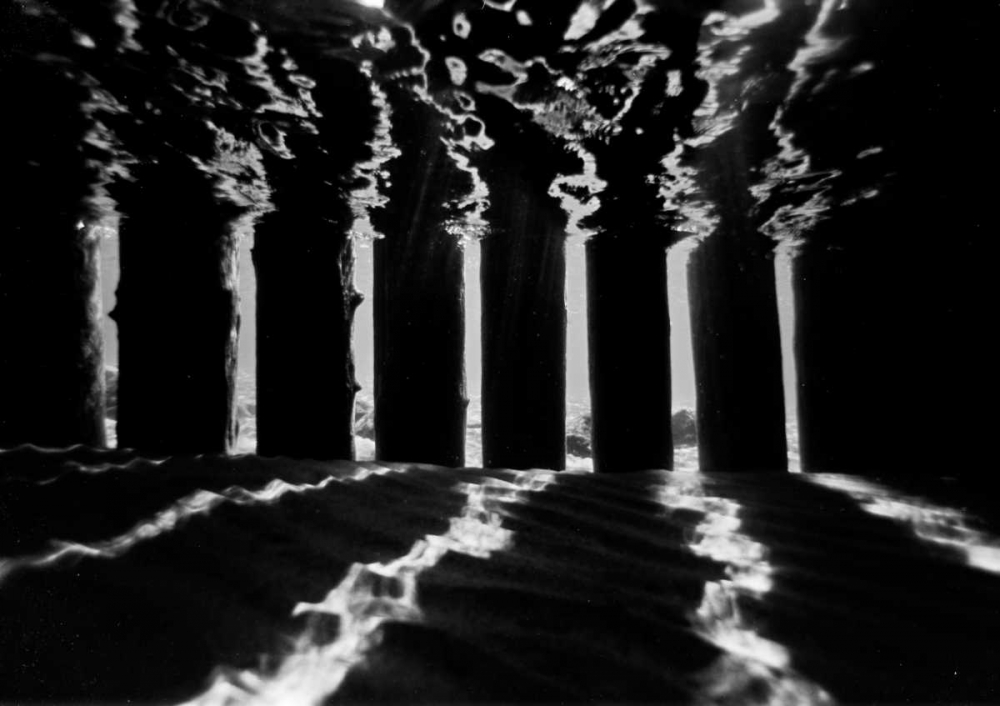 Pier Pilings IV art print by Lee Peterson for $57.95 CAD