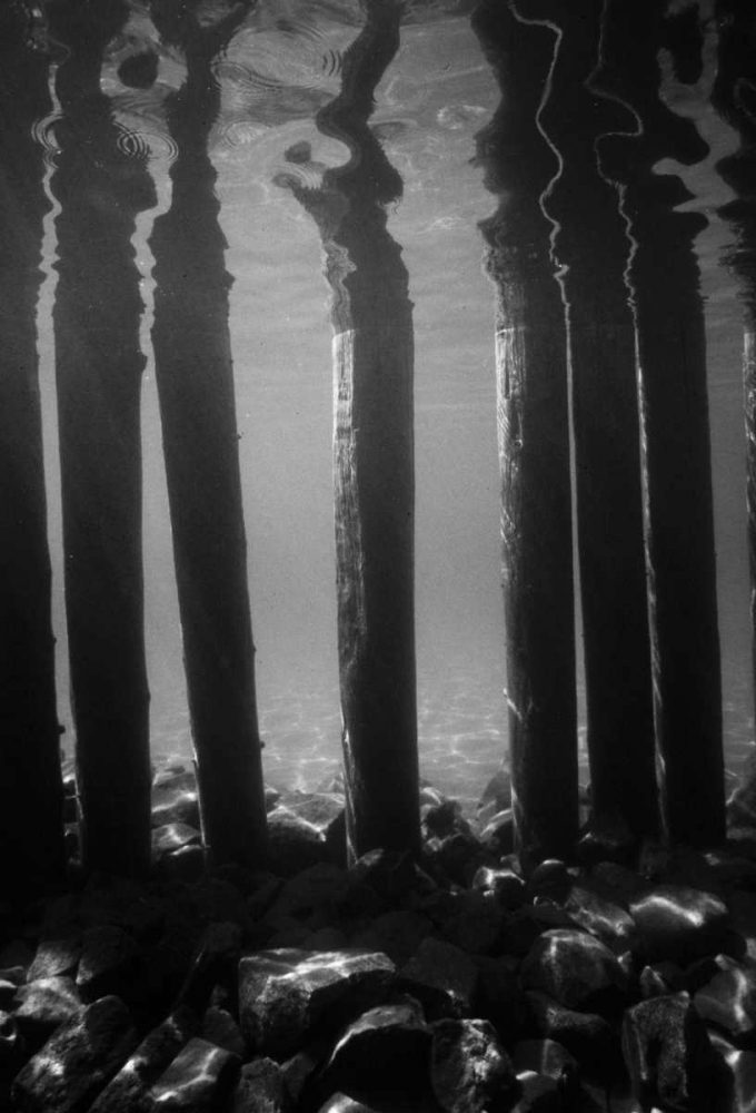 Pier Pilings V art print by Lee Peterson for $57.95 CAD