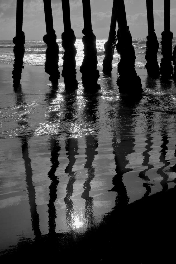 Pier Pilings IX art print by Lee Peterson for $57.95 CAD