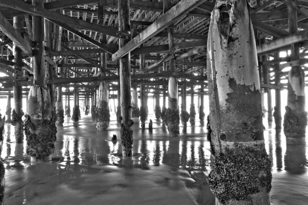 Pier Pilings XI art print by Lee Peterson for $57.95 CAD