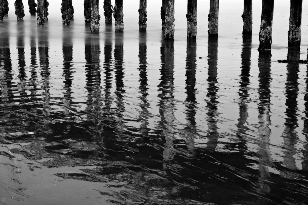 Pier Pilings XV art print by Lee Peterson for $57.95 CAD