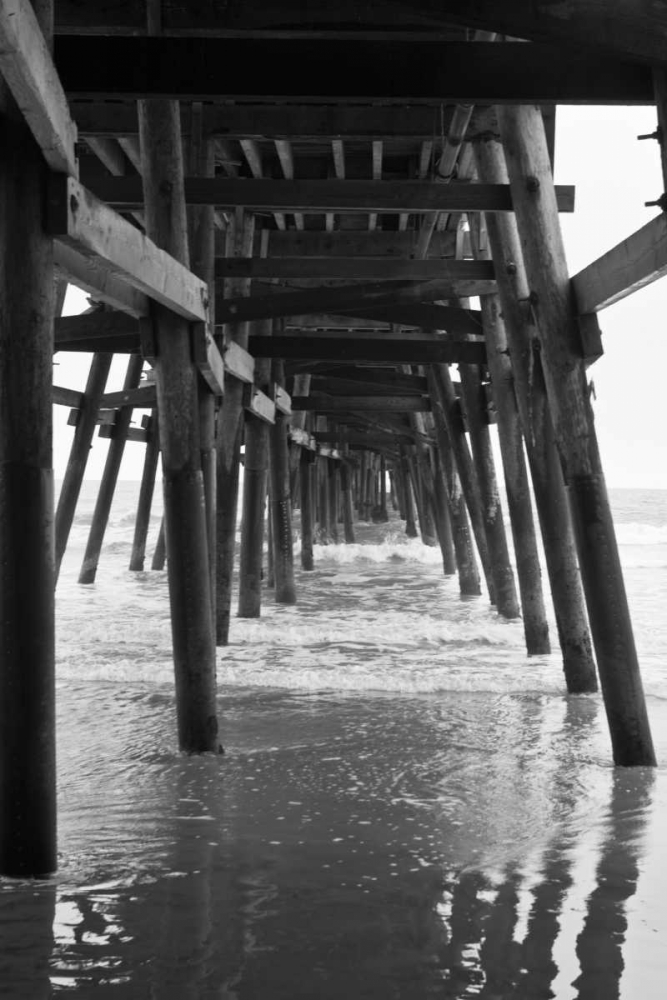 Pier Pilings XVIII art print by Lee Peterson for $57.95 CAD