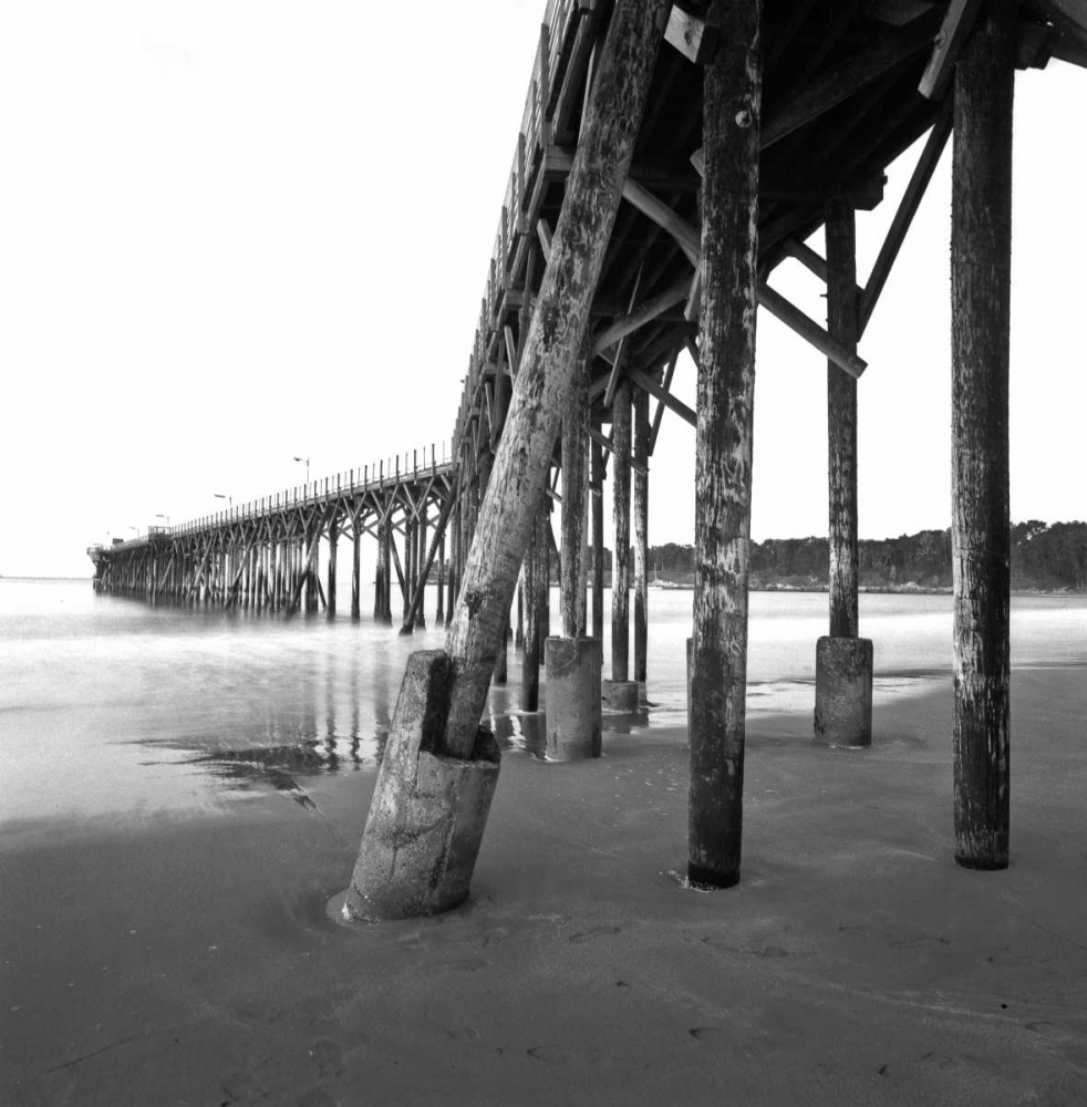 Pier Pilings XIX art print by Lee Peterson for $57.95 CAD