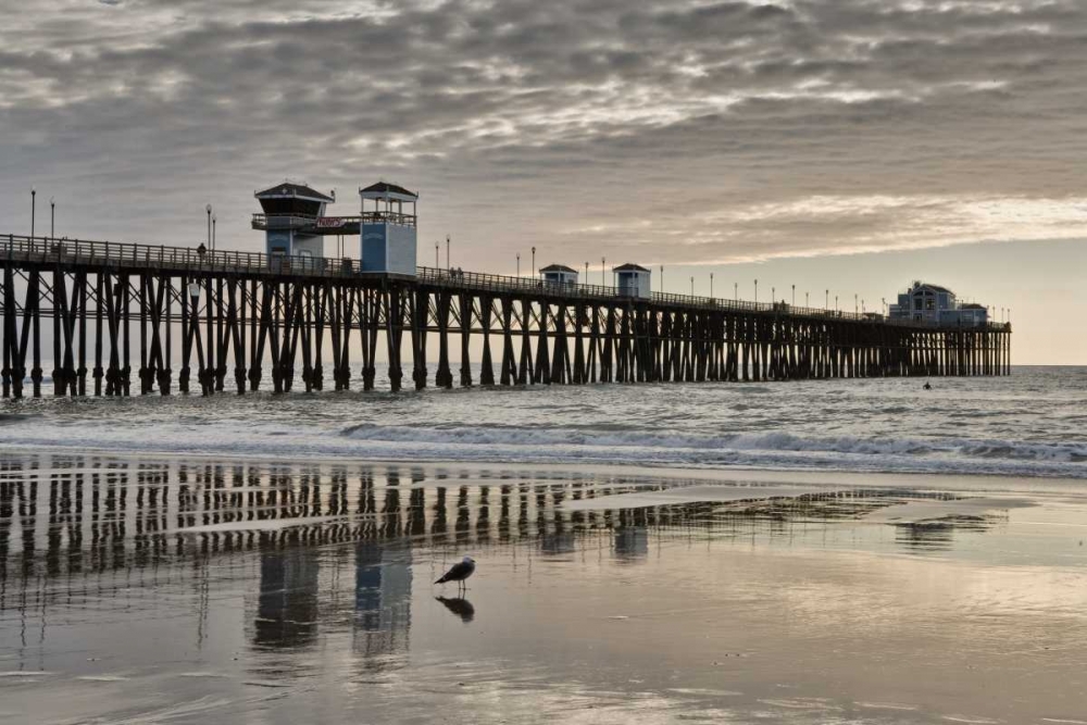 Pier Sunset II art print by Lee Peterson for $57.95 CAD