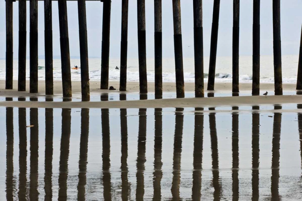 Pier Pilings II3 art print by Lee Peterson for $57.95 CAD