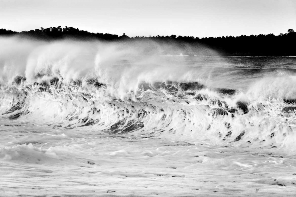 Carmel Waves II art print by Lee Peterson for $57.95 CAD