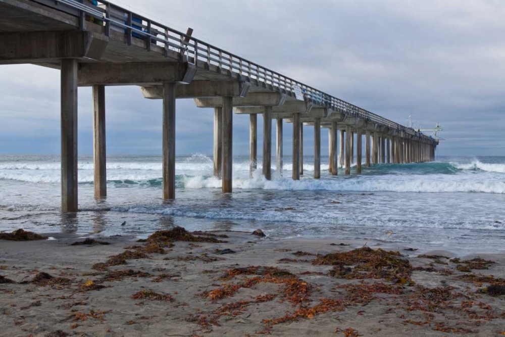 Scripps Pier II art print by Lee Peterson for $57.95 CAD