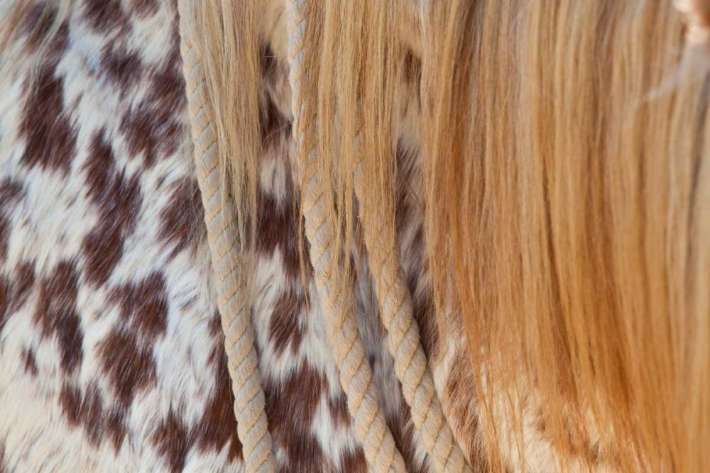 Horse Up Close II art print by Lee Peterson for $57.95 CAD