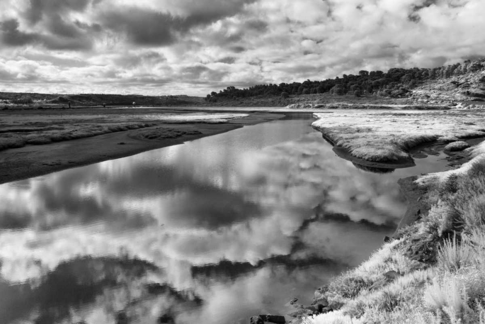 Infrared Reflections art print by Lee Peterson for $57.95 CAD